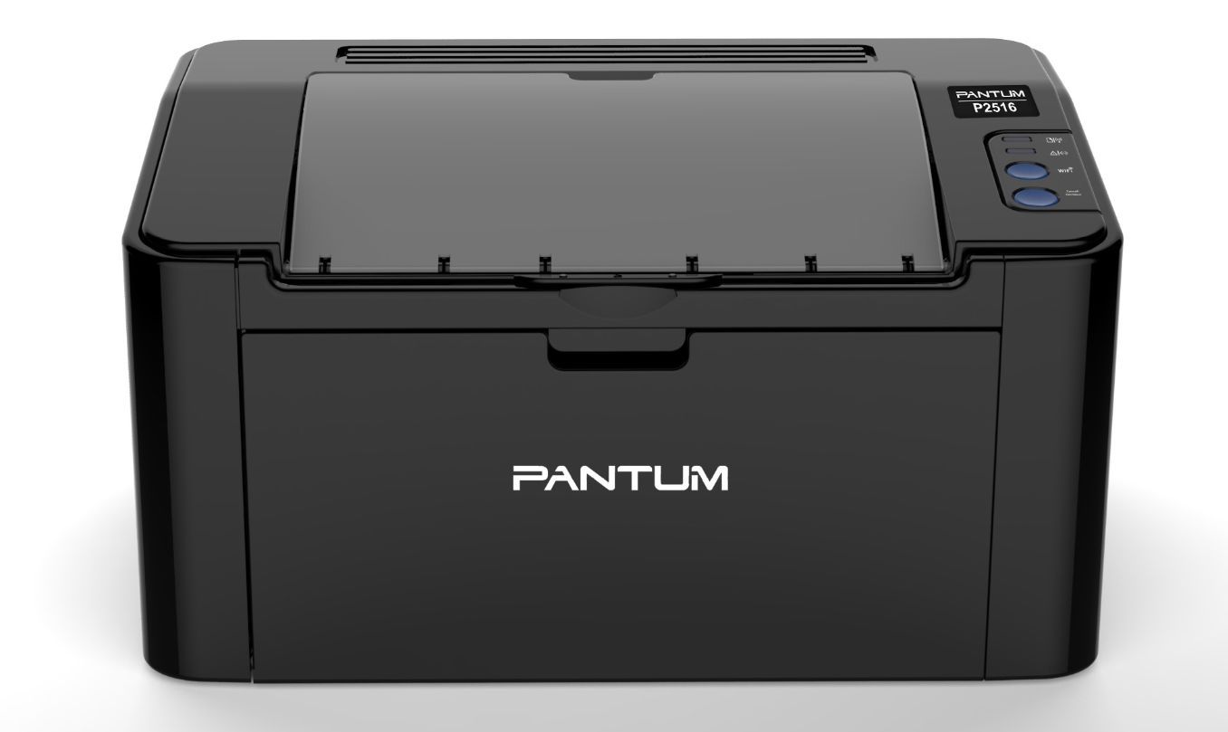Лазерный принтер PANTUM P2516